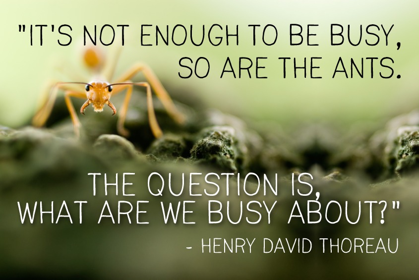 "It's not enough to be busy..." (Thoreau)